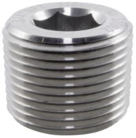 Socket Head Plug BSPT 316 Stainless Steel