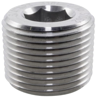 Socket Head Plug BSPT 316 Stainless Steel