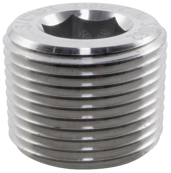 Socket Head Plug BSPT 316 Stainless Steel