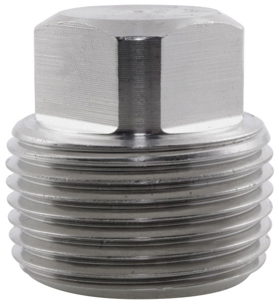 BSPT Square Head Plug 6000LB 316 Stainless Steel